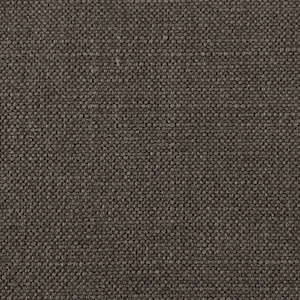 Andaman_Beluga