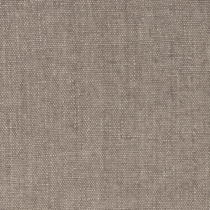 Zanav_Amkunj_Elephant_Skin